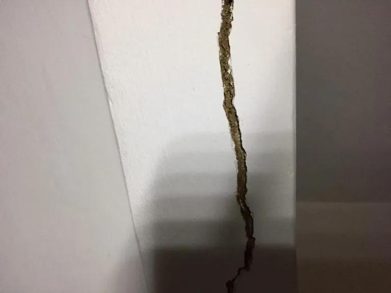 Fissure murale révélant un passage de termites nécessitant un traitement adapté.