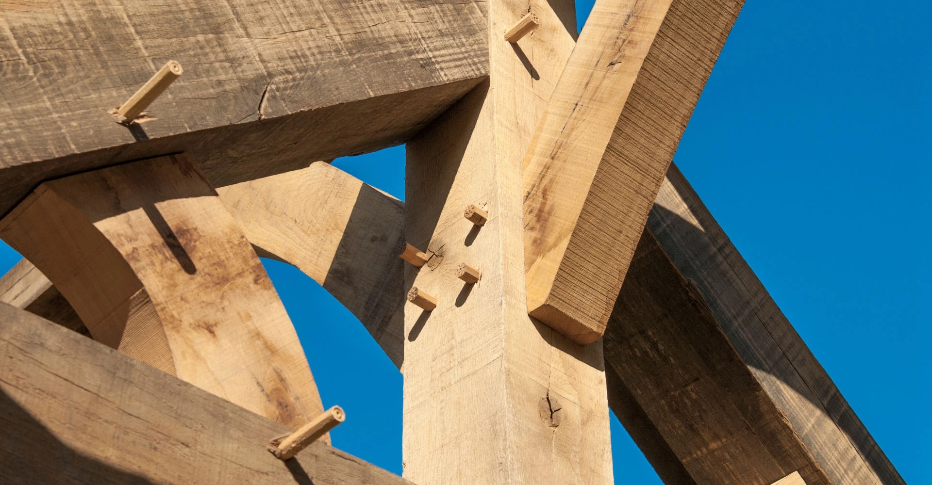 Traitement efficace contre les termites, <span>mérule et autres larves</span>